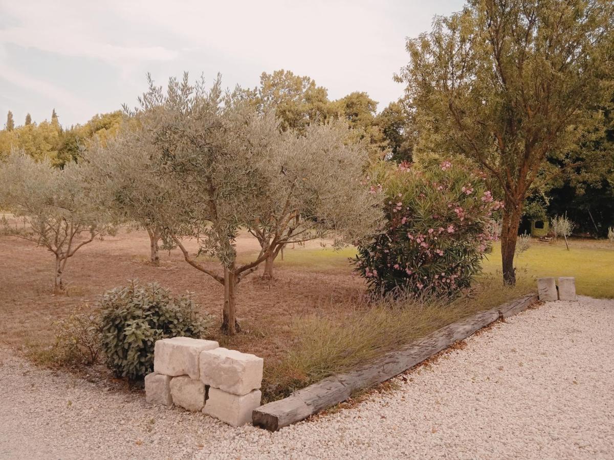 Gite Du Mas De La Finiere ,Avec Spa Interieur Châteaurenard Exterior foto