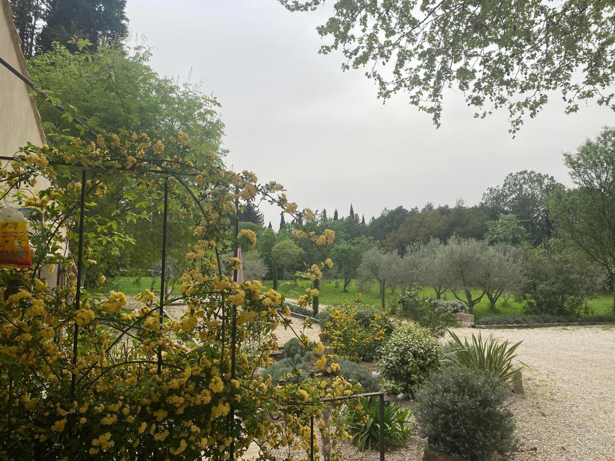 Gite Du Mas De La Finiere ,Avec Spa Interieur Châteaurenard Exterior foto